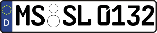 MS-SL0132