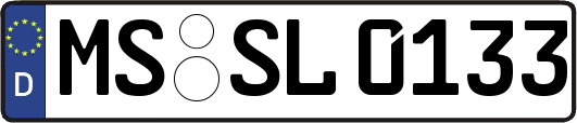 MS-SL0133
