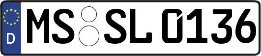 MS-SL0136