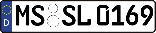 MS-SL0169