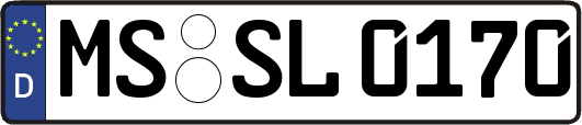 MS-SL0170