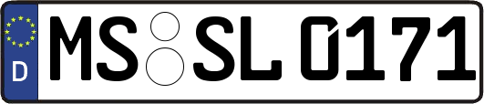MS-SL0171