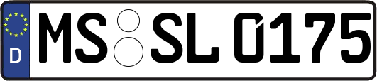 MS-SL0175
