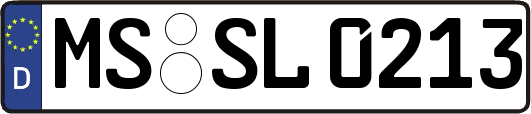 MS-SL0213