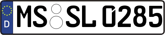 MS-SL0285