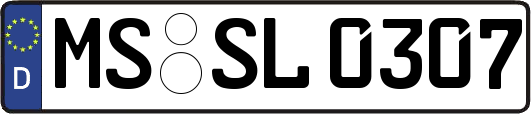 MS-SL0307