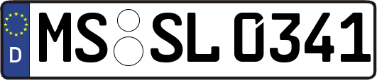 MS-SL0341