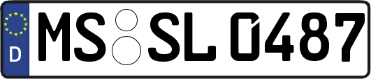 MS-SL0487