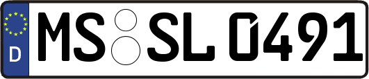 MS-SL0491