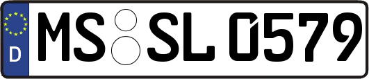 MS-SL0579