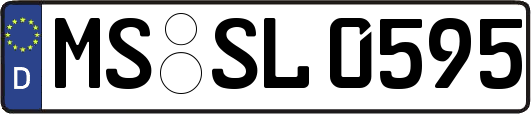 MS-SL0595