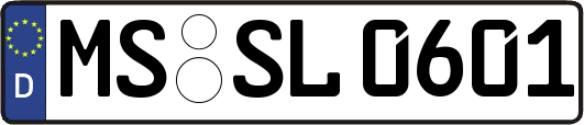 MS-SL0601