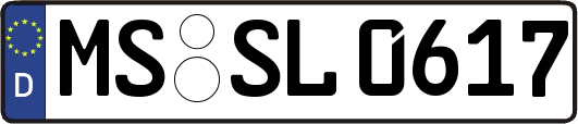 MS-SL0617