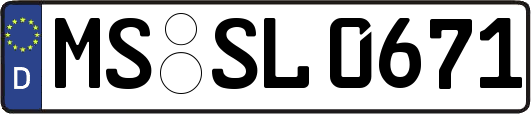 MS-SL0671