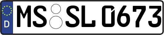 MS-SL0673