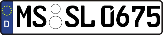 MS-SL0675