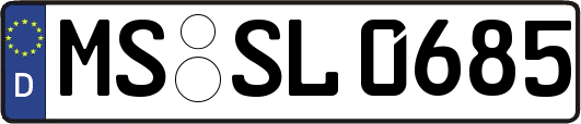 MS-SL0685