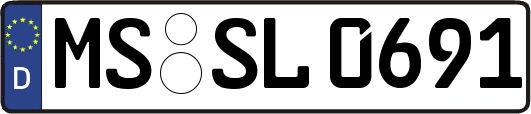 MS-SL0691