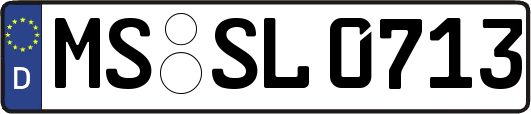MS-SL0713