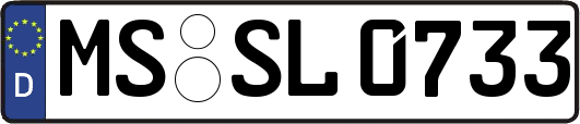 MS-SL0733