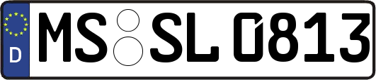 MS-SL0813