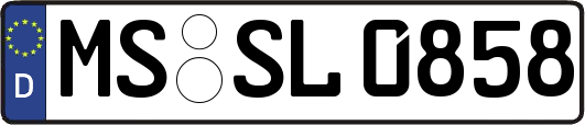 MS-SL0858