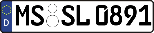 MS-SL0891