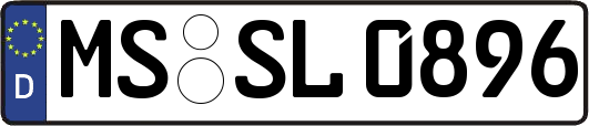 MS-SL0896
