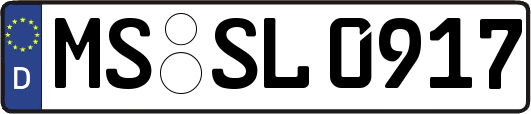 MS-SL0917