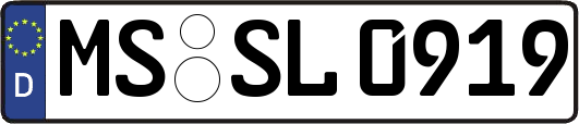 MS-SL0919