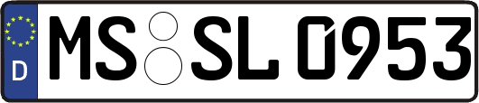 MS-SL0953