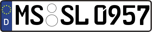 MS-SL0957