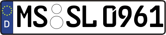 MS-SL0961