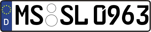 MS-SL0963