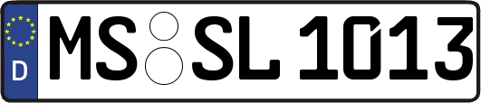 MS-SL1013