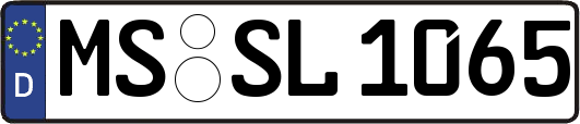 MS-SL1065