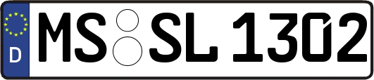 MS-SL1302