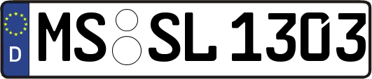 MS-SL1303
