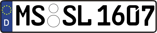 MS-SL1607