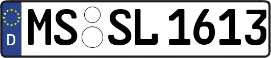 MS-SL1613
