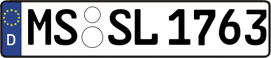 MS-SL1763