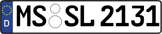 MS-SL2131