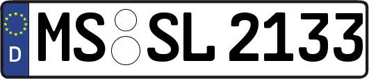 MS-SL2133