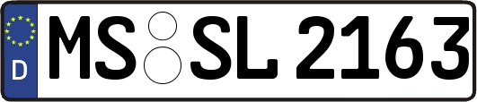 MS-SL2163