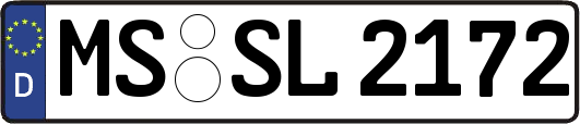 MS-SL2172