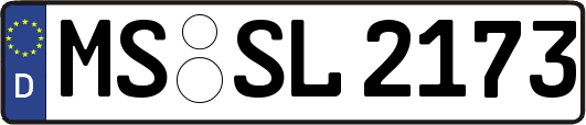 MS-SL2173