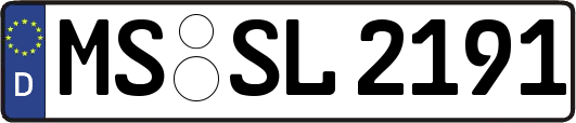 MS-SL2191