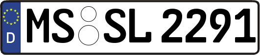 MS-SL2291