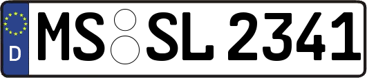 MS-SL2341