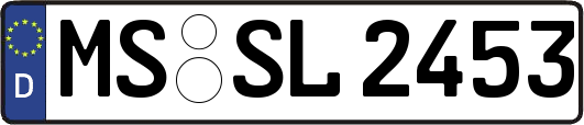 MS-SL2453